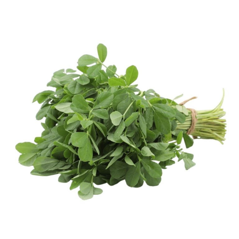 Fresh Methi bunch