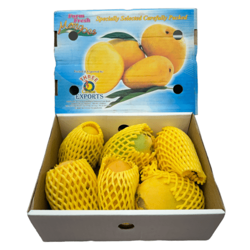 Indian Badami Mango ~1.6 Kg