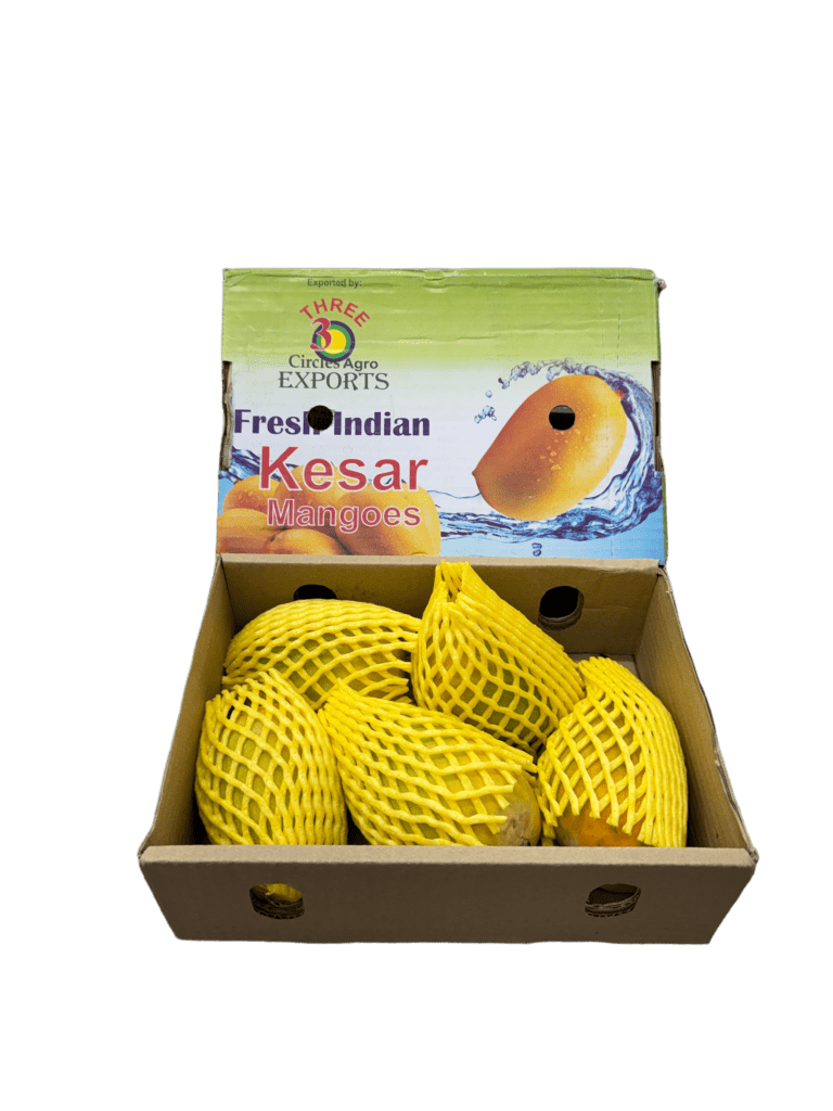 Indian Kesar Mango ~1,2 kg
