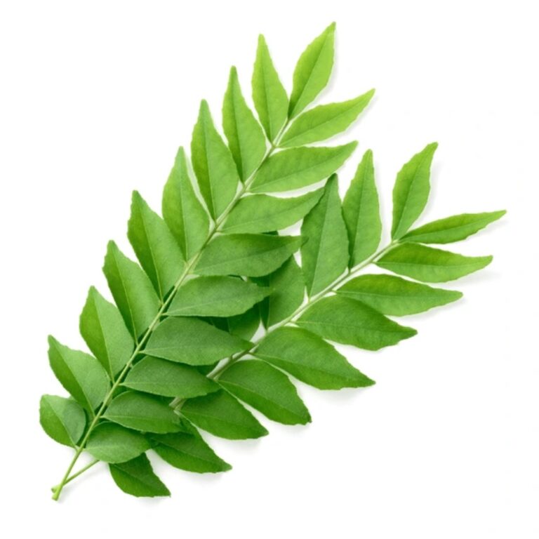 Fresh curry leaves 30g
